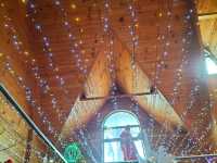 🎄It's Always Christmas Here!🎄