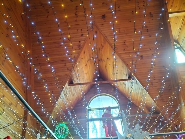 🎄It's Always Christmas Here!🎄