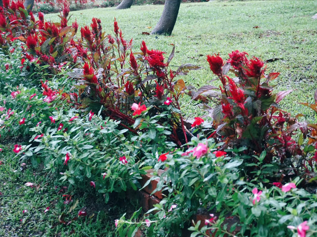 Seasonal Flower Gardens: Where Scenery Changes With Every Visit Seasonal Flower Gardens: Where Scenery Changes With Every Visit