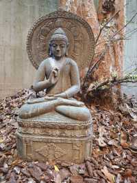 城市中的禪意淨土#🌿 菩薩寺-臺中市大里區