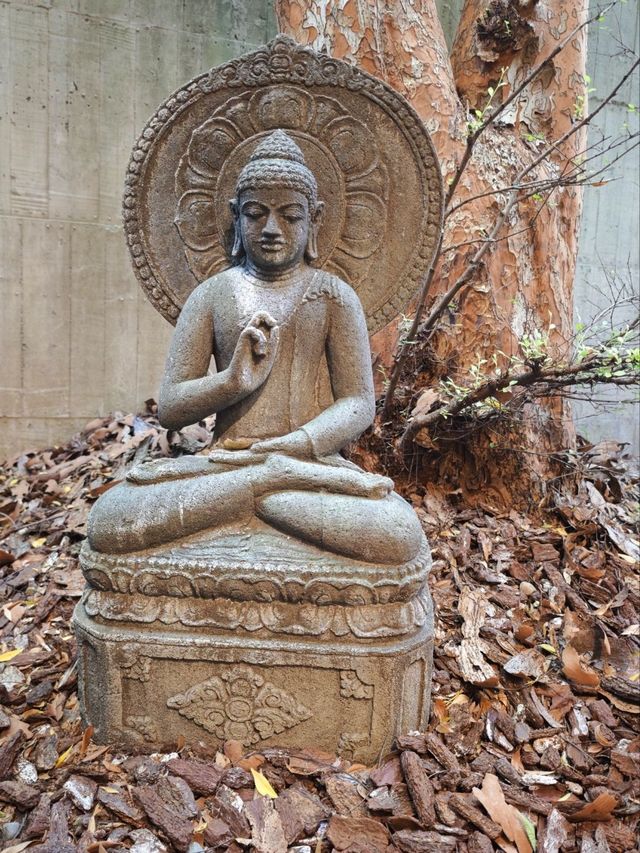 城市中的禪意淨土#🌿 菩薩寺-臺中市大里區 城市中的禪意淨土#🌿 菩薩寺-臺中市大里區