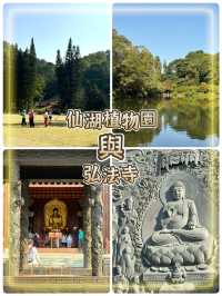 深圳仙湖弘法半日遊,自然療癒與禪意體驗