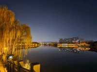 인공 호수 곡강지의 밤 풍경