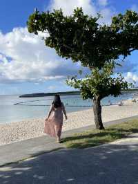 오키나와 인생샷 스팟 여행코스 일정