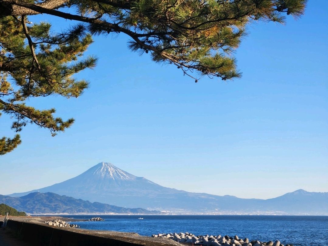 三保松原 | Trip.com 静岡市