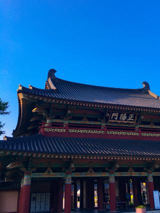 조용한 곳을 즐기고 싶다면! 부여 여행☑️