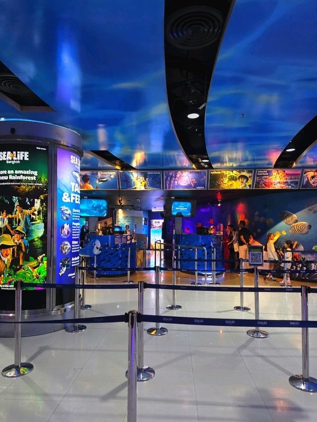 SEA LIFE  ย้อนวัยเด็กที่อควาเรียมกลางกรุง 🐠🪼🪸