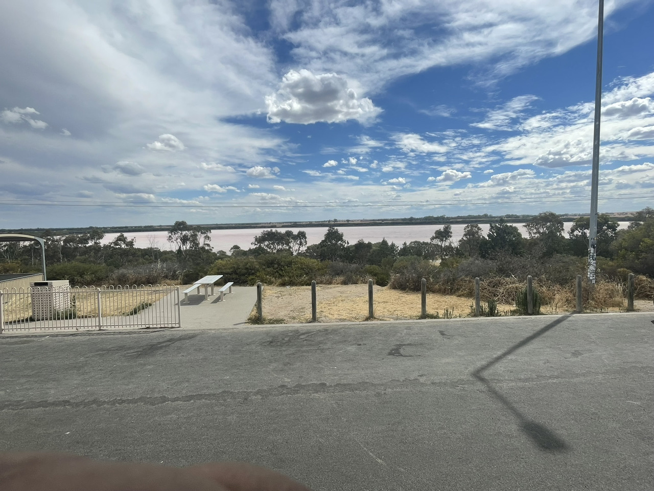 Enjoying the beauty of Melbourne nature