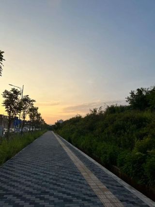 이국의 청석판 길을 거닐며, 마치 '봄바람이 밤새 수천 그루의 꽃을 피워낸 듯'한 낭만적인 시적 정취가 눈앞에 펼쳐지고, 담장의 수작업 벽화는 다채로운 색으로 번지며, 길가의 길.