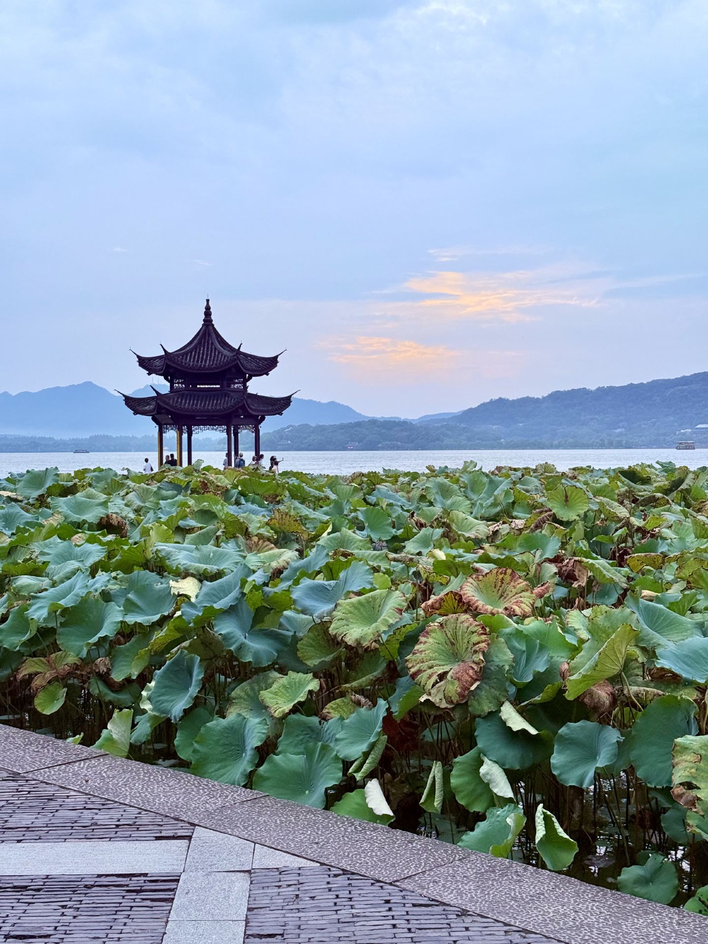 ✈️ Wah, ada rute ke Tiongkok yang "sat-set" nih, jangan kelamaan mikir nanti keburu hangus promonya!

Cuma sekitar SGD 360 per orang, rute ini memungkinkan kamu terbang dari Singapura ke Hangzhou, mampir ke Suzhou, dan pulang lewat Shanghai — bener-bener kombinasi pas antara suasana syahdu ala Jiangnan dan gemerlap cakrawala kota metropolitan. 🌿🏙️

✨ Kenapa rute ini oke banget:

· Hangzhou: Nikmati pemandangan West Lake, kuil-kuil bersejarah, budaya teh, dan jalan-jalan santai yang tenang.
· Suzhou: Terkenal dengan taman klasiknya, kanal air, jalanan tua, dan vibes kota kuno yang estetik.
· Shanghai: Wajib ke The Bund, belanja sepuasnya, lihat lampu kota, dan asyik buat cafe-hopping.

🚄 Kabar baiknya? Kota-kota ini deket banget kalau naik kereta cepat:
· Hangzhou → Suzhou: sekitar 45–60 menit
· Suzhou → Shanghai: sekitar 25–35 menit

✈️ Keuntungan penerbangan yang didapat:
· Bagasi terdaftar 2 × 23kg
· Sudah termasuk makanan
· Bagasi langsung dikirim ke tujuan akhir (tidak perlu lapor ulang saat transit)
· Penerbangan transit dengan China Southern Airlines

🍜 Rekomendasi kuliner: xiaolongbao, shengjianbao, mie Suzhou, udang Longjing & ikan West Lake.

⚠️ Catatan kecil: Minggu pertama bulan Oktober adalah masa libur nasional di Tiongkok, jadi tempat wisata populer dan kereta bakal ramai banget. Pastikan pesan tiket transportasi lebih awal dan rencanakan destinasi wajibmu dari sekarang.

⚠️ Harga bisa berubah sewaktu-waktu, jadi pastikan cek dulu sebelum pesan — tapi serius deh, rute ini godaannya kuat banget.

Note: Harga tiket dicek per 26 Juli