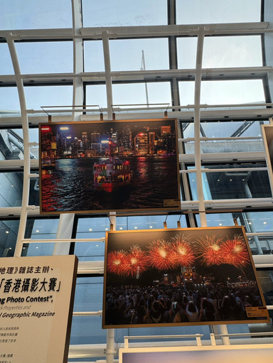 旅行者必見！香港の写真の祭典。 | Trip.com 香港
