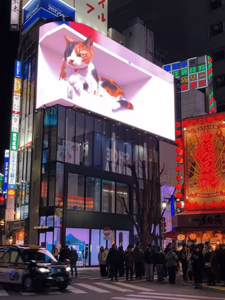 🌃新宿夜景必拍打卡機位👉用手機隨手拍都超出片