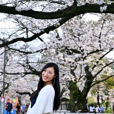 Walking Guide to Aoyama Cemetery, Tokyo: Cherry Blossom Tunnel