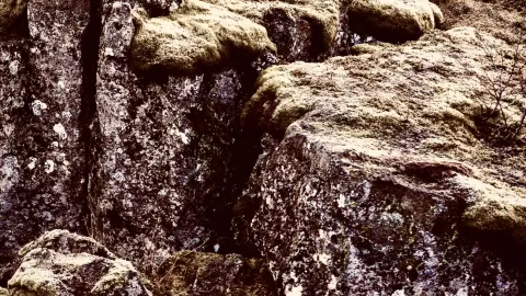 オカツェ渓谷のメタルリボンと断崖の森 easytravelpost。 — traveler post in アッシュガリ