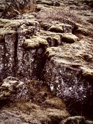 Okatse Canyon’s Metal Ribbon and the Cliff Forest Aboveeasytravelpost #OkatseCanyon #Imereti #Metal