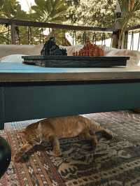 🏝️ Hani Hideaway: My Little Escape on Gili Air