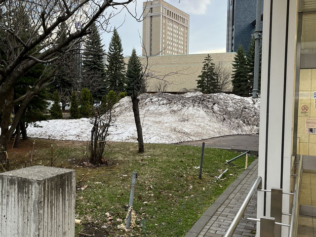 札幌中島公園高CP值酒店推介🏨