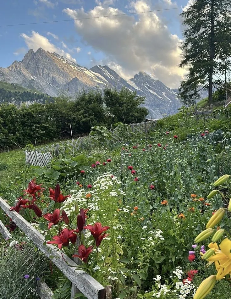 Secret Alpine Paradise: Escaping the Swiss Tourist Crowds in Gimmelwald