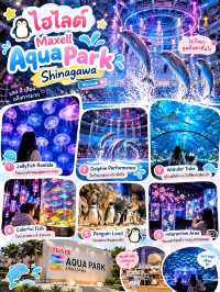 พิกัดเที่ยวโตเกียว สำหรับเด็ก🐬 Maxell Aqua Park Shinagawa