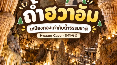 [정선 여행] 화암동굴: 옛 금광의 역사와 대자연의 신비가 만나는 곳 — traveler post in 미네 시