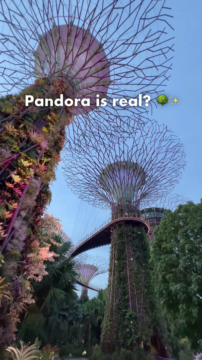 Pandora Is Real? Gardens by the Bay 🌳✨