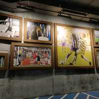 Nice stadium tour