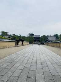 【奈良県🇯🇵法隆寺】日本最初の世界文化遺産☺️