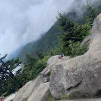 Our Great Smoky Mountains Trip 2020