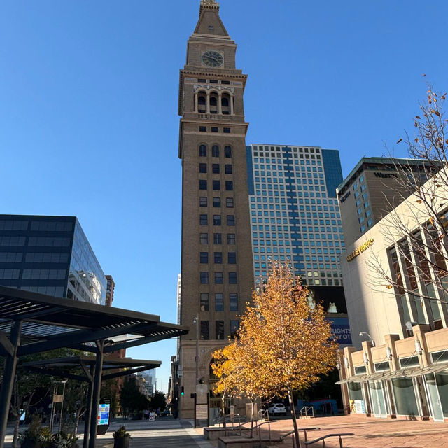 Window Shopping at Denver’s Downtown Window Shopping at Denver’s Downtown