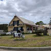 Narooma，海豹，果冻海