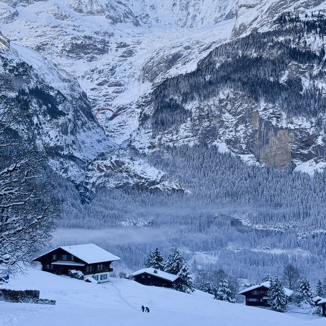 🇨🇭瑞士雪場推薦！新手/高手/進階/雪橇🏂🎿