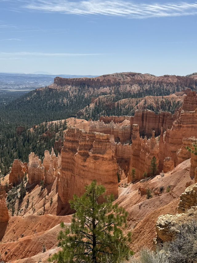The palace - Bryce Canyon 