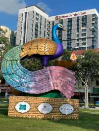 “Little India Comfort: Friendly Service & Rooftop Retreat”