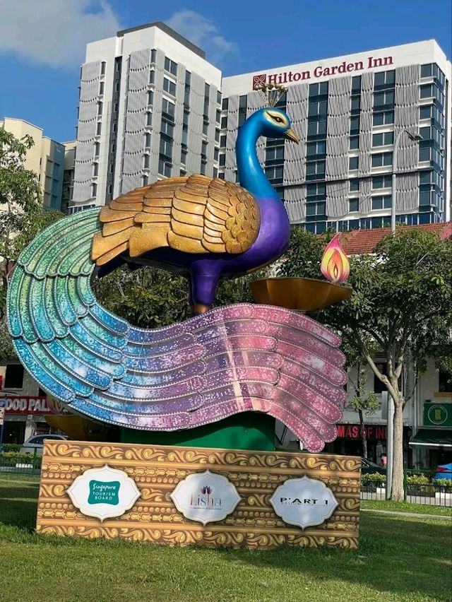 “Little India Comfort: Friendly Service & Rooftop Retreat”