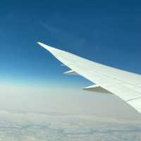 Gulf Air Review - Surprisingly Amazing