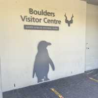 Boulders penguin sanctuary 