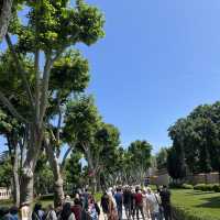 Istanbul: City of Roses, Palaces & Waterways