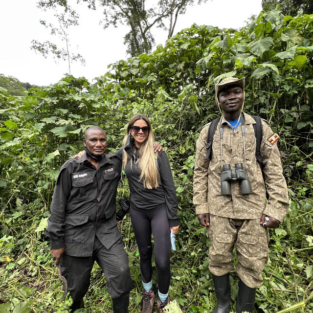 Gorillas in the Wild - A unique Experience.