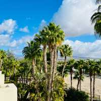 5 Star at 3 Star priced Tabaiba Princess