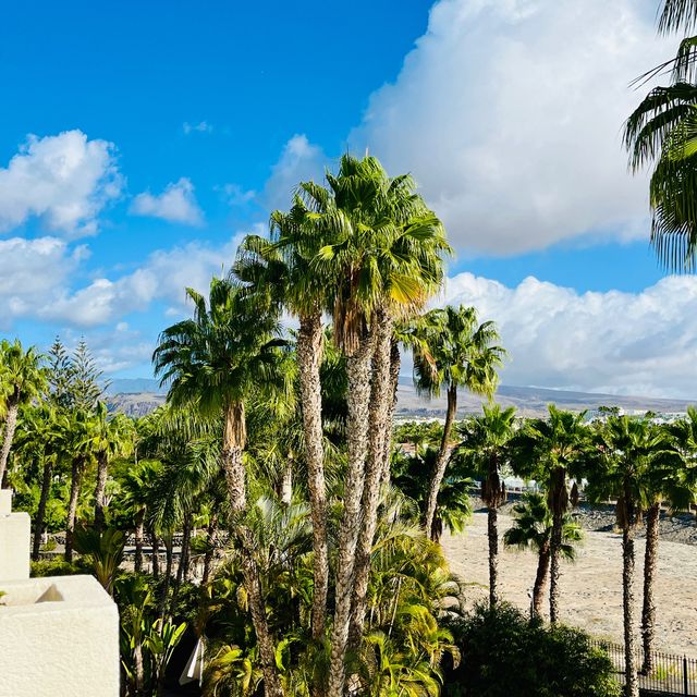 5 Star at 3 Star priced Tabaiba Princess 5 Star at 3 Star priced Tabaiba Princess