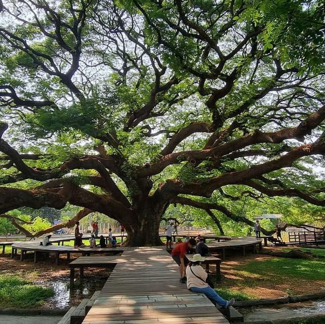 Kanchanaburi 🇹🇭