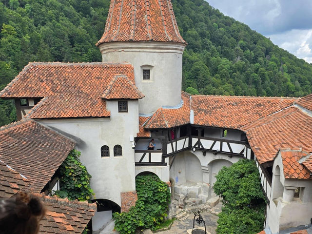 Castle of Dracula 🇷🇴