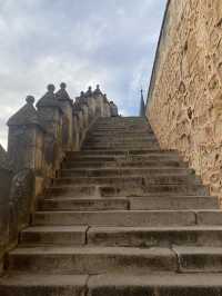 The Alcázar’s Majestic Architecture 🏛️