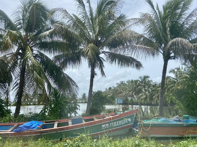Meditation by the Backwaters