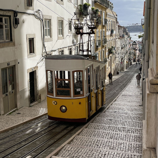 Lose yourself in Lisbon