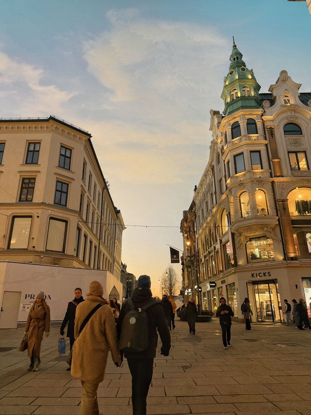 Exploring Karl Johans Gate: Oslo's Lively Main Street🛍️