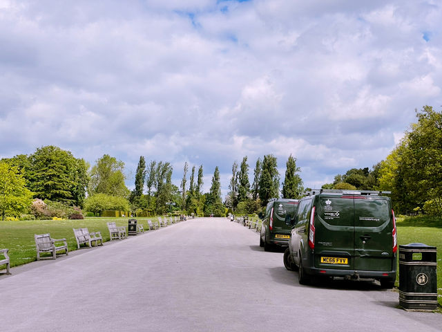🌳 A Perfect Escape in Regent’s Park: London’s Green Oasis 🌿✨