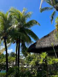 Perfect Mauritius Itinerary 