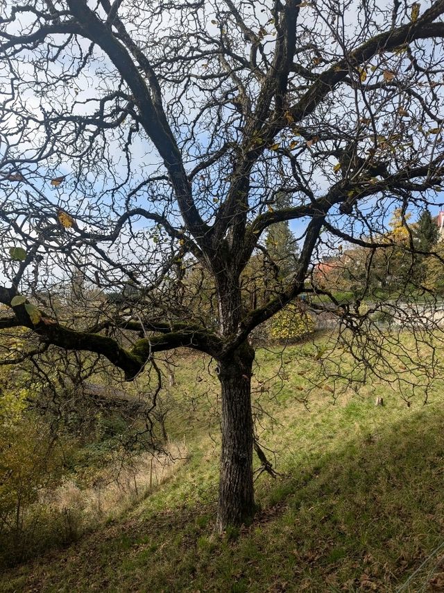 Sunday Hike 