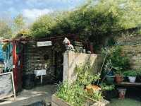 🐐 Hackney City Farm: A Slice of Countryside in the Heart of East London